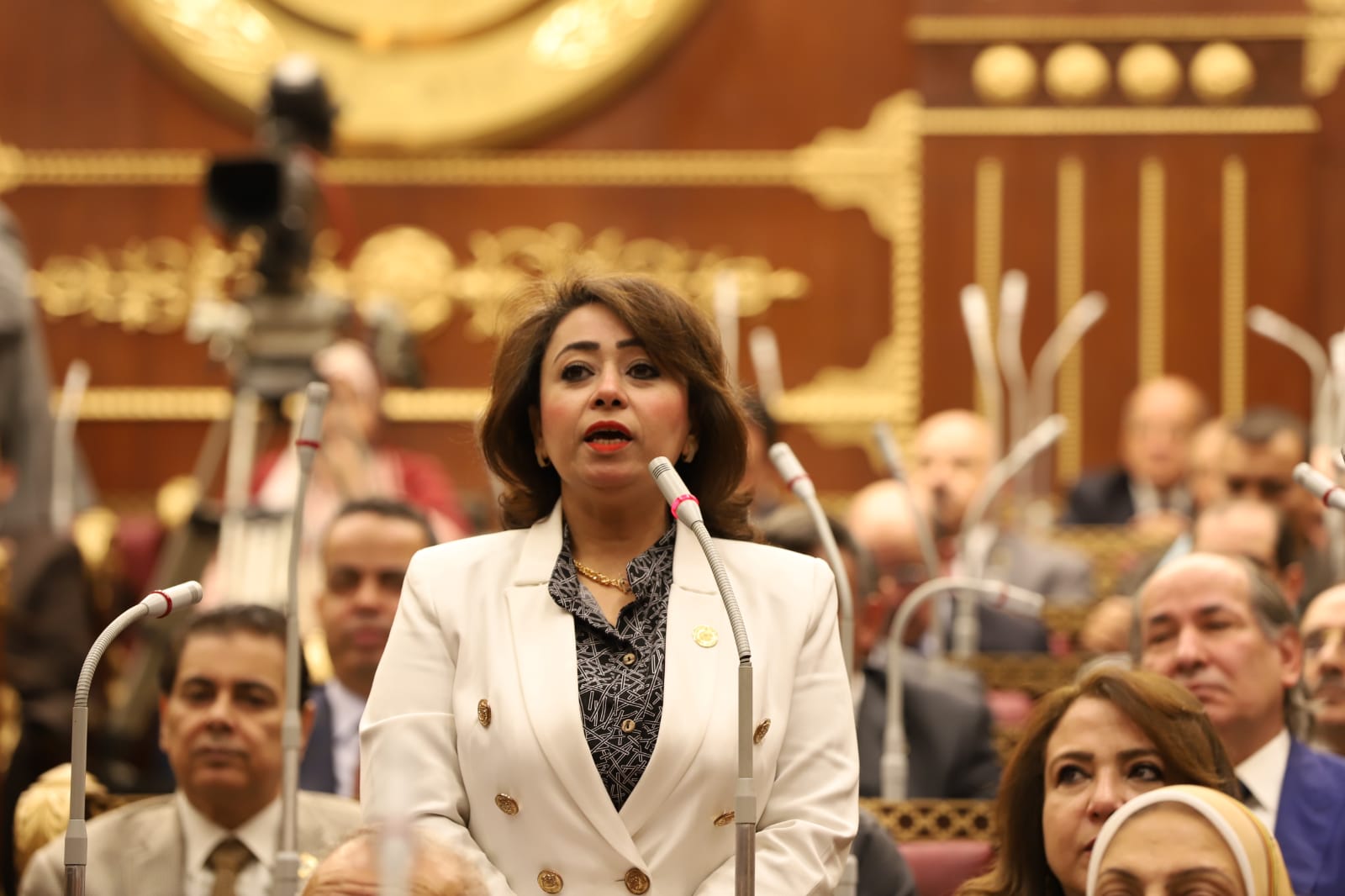 «أمين سر تضامن الشيوخ»: الحوار الوطني سيقدم رؤية متكاملة لكافة القضايا الراهنة