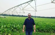 قرار خفض سعر بنجر السكر يهدد الاكتفاء الذاتي.. وتحذيرات من تراجع الإنتاج واللجوء للاستيراد